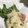 みにー2020's cooksnap of when they made 生ハムとじゃが芋の粒マスタードマヨサラダ.