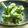 solapapa's cooksnap of when they made 菜の花のハニーカレーマスタード和え.