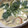おべんとまま's cooksnap of when they made ほっこり。茶碗蒸し.