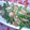 あみけけ's cooksnap of when they made お弁当にも♪ちくわといんげんのたらこ炒め.