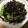 ルナＰボール's cooksnap of when they made ひじきの煮物.
