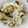 youtiang's cooksnap of when they made ✾春の味✿ஐ〰ふきのとうの混ぜごはん✾.