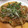 nyoko3's cooksnap of when they made 厚切りポークステーキの玉ねぎソース.