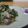 ダイナマイト漆黒's cooksnap of when they made 砂肝と春菊の柚子胡椒ポン酢和え.