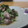 ダイナマイト漆黒's cooksnap of when they made 砂肝と春菊の柚子胡椒ポン酢和え.