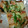 ami-rarara's cooksnap of when they made 簡単♪油揚げピザ.