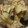 クックF1WV1Z☆'s cooksnap of when they made 作り置き☆味がしみしみ煮物.