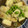 まもくるりん's cooksnap of when they made 枝豆豆腐の揚げ出し風.