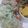 ayan0530's cooksnap of when they made ★鶏ムネソテー　アボガドソース★.