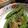 ruby293's cooksnap of when they made 簡単！旬のスナップエンドウでごま和え.