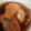 クックRDZ34W☆'s cooksnap of when they made 煮るだけ☆簡単　里芋の煮っころがし.