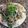 kero4's cooksnap of when they made 菜の花とベーコンのクリームパスタ.