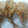 クックI0PH8E☆'s cooksnap of when they made いわしのから揚げ焼き.