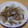 きらり流れ星's cooksnap of when they made 焼き肉みたいなキノコと蒟蒻炒め.