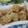 miyuki12's cooksnap of when they made おからと人参のもちもち団子.