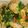 クックOTO87E☆'s cooksnap of when they made 手羽先と里芋の味噌煮.