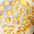 雪花菜's cooksnap of when they made 中力粉で簡単クッキー(薄力粉も可).