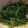 クックJK19SA☆'s cooksnap of when they made 定番小鉢♫小松菜のお浸し.