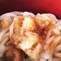 ラパ－ス's cooksnap of when they made おろしぽん酢冷しゃぶうどん.