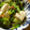 低カロ探検隊's cooksnap of when they made ➏　白ネギと豆腐の炒め物　➏.