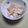 ぜっきん's cooksnap of when they made 大根の皮の箸休め.