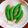 リラクマオ's cooksnap of when they made スナップエンドウの生姜焼き.
