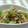 ゆうかりコアラ's cooksnap of when they made 残りもので！簡単もやし炒め.
