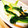 ち～ぼう's cooksnap of when they made 炒青梗菜.