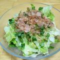 ＊SHIBA＊'s cooksnap of when they made 給料日前！カイワレおかかレタスサラダ☆.