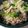 NAGANO久留米's cooksnap of when they made きのこひじきご飯.