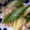 T△U's cooksnap of when they made 白ネギと鶏のみそ炒め.