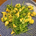 とちマメ's cooksnap of when they made 卵と豆苗炒め.