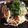 ナツコ♡'s cooksnap of when they made 簡単☺濃厚きのこソースのクリームパスタ.