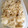 たくとなお's cooksnap of when they made キヌアと塩キノコの炊き込みご飯.
