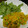 せつせつせつ's cooksnap of when they made 簡単！おかずかぼちゃサラダ.