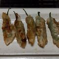 さーパパ's cooksnap of when they made 獅子唐餃子.