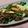 mizukii904's cooksnap of when they made 牛肉とタケノコのオイスターソース炒め.