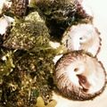 なおプーデラックス's cooksnap of when they made ガンガラ(ニナ)貝の塩茹で！.
