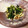 sonapun's cooksnap of when they made ★ほうれん草とシメジのソテー★.