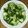 ロッキー22's cooksnap of when they made きゅうりとわかめの酢の物.