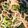 クックDM4Q4A☆'s cooksnap of when they made やみつき！ほうれん草とモヤシのナムル☆.