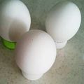 ttttt12345's cooksnap of when they made ペットボトルのふたで卵スタンド.