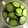 彩音ｍａｍａ's cooksnap of when they made ★簡単！美味しい＊きゅうりの浅漬け＊♪.