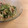 ぽっこりーな☆'s cooksnap of when they made 簡単！鶏ともやしのゴマポン和え★.