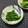 おはなすき's cooksnap of when they made かき菜のわさび和え.