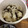lisa_mimi's cooksnap of when they made 【簡単】大根の塩昆布和え.