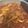 クックFJYW5Q☆'s cooksnap of when they made トマトチキン煮込み♪♪.