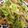 ゆぅまぁ922's cooksnap of when they made ☆*ネギ塩な野菜炒め*☆.