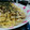 るーぴー♡'s cooksnap of when they made 超簡単！舞茸とツナの和風パスタ！.
