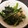 delight＊'s cooksnap of when they made ほうれん草の簡単おひたし風.